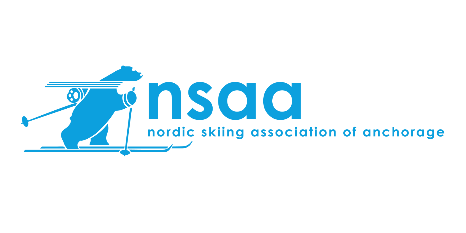 NSAA%20Logo%20Variations-08.png